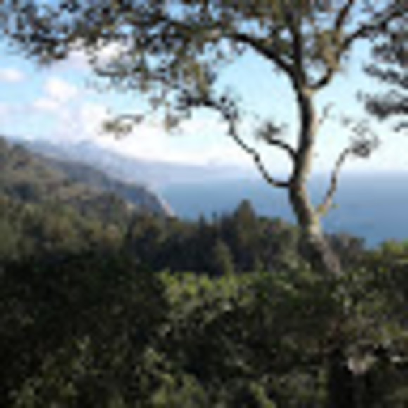 Meet your Posher, Cassandra rae - Picture 1 of 1